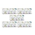 PIOUS 2 Ply Highly Absorbent Soft Pocket Tissue Papers (size-20x20cm) (10 Pulls Per Packet) (500 Sheets)