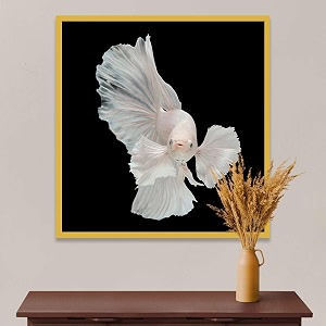 pitaara box betta big ear  canvas painting for bedroom amp living room  golden frame  24 x 25 inch 61 x 64 cms
