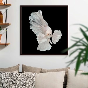 pitaara box betta big ear  canvas painting for bedroom amp living room  dark brown frame  24 x 25 inch 61 x 64 cms