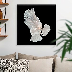pitaara box betta big ear  canvas painting for bedroom amp living room  black frame  266 x 277 inch 68 x 70 cms