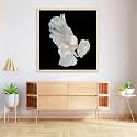 Pitaara Box Betta Big Ear | Canvas Painting for Bedroom &amp; Living Room | Natural Brown Frame | 24 x 25 inch (61 x 64 cms)