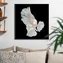 Pitaara Box Betta Big Ear | Canvas Painting for Bedroom &amp; Living Room | Black Frame | 24 x 25 inch (61 x 64 cms)