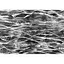 Pitaara Box Sea Waves &amp; Splashes | Peel &amp; Stick Vinyl Wall Sticker for Bedroom &amp; Living Room | 26.2 x 18 inch (67 x 46 cms)