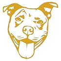 Pitbull Face Stencil 1 (Metallic Gold) (Set Of 2) Premium Waterproof Vinyl Decal Stickers for Laptop Phone Accessory Helmet Car Window Bumper Mug Tuber Cup Door Wall Decoration