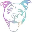 Pitbull Face Stencil 1 (Holographic Opal Purple) (Set of 2) Premium Waterproof Vinyl Decal Stickers for Laptop Phone Accessory Helmet Car Window Bumper Mug Tuber Cup Door Wall