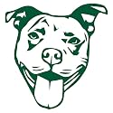Pitbull Face Stencil 1 (Green) (Set Of 2) Premium Waterproof Vinyl Decal Stickers for Laptop Phone Accessory Helmet Car Window Bumper Mug Tuber Cup Door Wall Decoration