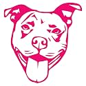 Pitbull Face Stencil 1 (Pink) (Set Of 2) Premium Waterproof Vinyl Decal Stickers for Laptop Phone Accessory Helmet Car Window Bumper Mug Tuber Cup Door Wall Decoration