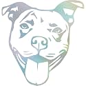 Pitbull Face Stencil 1 (Hologram) (Set Of 2) Premium Waterproof Vinyl Decal Stickers for Laptop Phone Accessory Helmet Car Window Bumper Mug Tuber Cup Door Wall Decoration