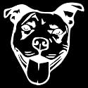 Pitbull Face Stencil 1 (White) (Set Of 2) Premium Waterproof Vinyl Decal Stickers for Laptop Phone Accessory Helmet Car Window Bumper Mug Tuber Cup Door Wall Decoration