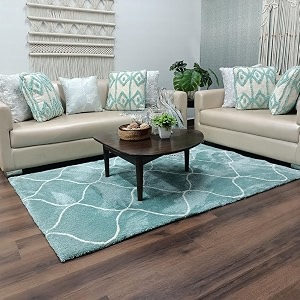 Plain Shaggy Rugs and Carpet for Home