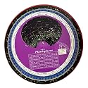 Planisphere Star Dial for Night Sky for Constellations Stars Galaxies Planets