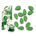 Plant Climbing Wall Fixture Clips 40 Pcs, Garden Vegetable Plant Support Binding Clip Invisible Wall Vines, Self-Adhesive Clips Plant Vine Traction for Indoor Outdoor Decoration