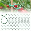 Plant Support Clips, 2026 New Secured Plastic Plant Clip, Trellis Clips for Tomato Grape Vine Vegetables Plant Fixing Clip, Garden Clips for Climbing Plants (50PC, L)