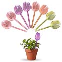 Plant Watering Globes 8 Pack, Self Watering Bulbs for Indoor Outdoor Plants