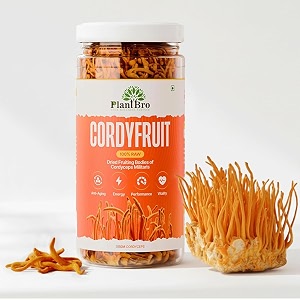 cordyfruit  100 raw cordyceps militaris fruit bodies  natural energy amp stamina booster  immunity endurance amp vitality support  no fillers pure mushroom superfood  30g