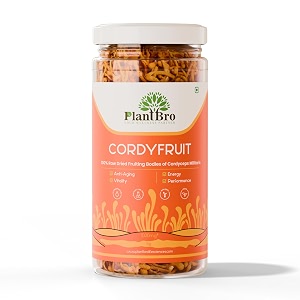 cordyfruit  100 raw cordyceps militaris fruit bodies  natural energy amp stamina booster  immunity endurance amp vitality support  no fillers pure mushroom superfood  5g