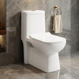 Plantex Commode for Toilet Ceramic One Piece