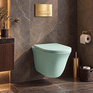 Plantex Commode for Toilet Rimless Wash Down