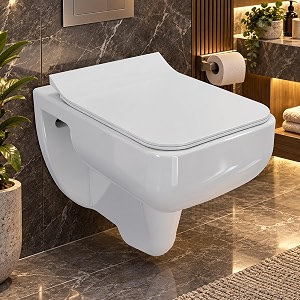 Plantex Commode for Toilet Wall Hung Western