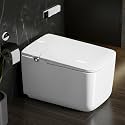 Plantex Smart Toilet CommodeAutomatic Toilet with Water