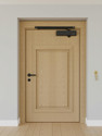 Plantex Surface Mounted Door Closer