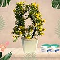Plastic Artificial Flowers Plants for Decoration with
