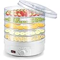 Plastic Electric Food Saver Fruit Dehydrator Preserver Machine with 5 Stackable Tray (set of 1)