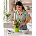 Plastic Flower Pot for Indoor amp Outdoor