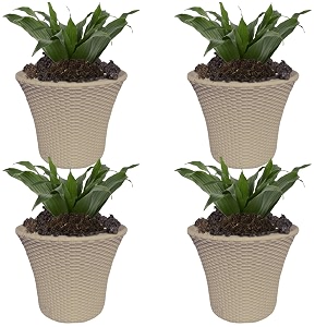 Plastic Helex Planter Pot 10-inch Flower Pots