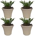 Plastic Helex Planter Pot 10-inch Flower Pots