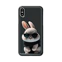 Plastic Printfidaa Printed Hard Back Cover Case For Apple Iphone X | Iphone 10 | Iphone Xs | Iphone 10S Back Cover (Cool Baby Rabbit) -112, Multicolor