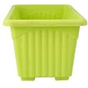 Rectangular Planter for Home Gardening/Balcony (Pack of 2), 6 Inch Plastic Window Planter/ Pot Set for Home Decor/Gardening (Pack of 4) (Green & White)