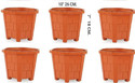 Plastichouse Flower Pot 8 cm Height Hexagonal