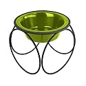 Platinum Pets 4 Cup Olympic Diner Stand with Wide Rimmed Bowl, Lime