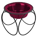 Platinum Pets Olympic Diner Feeder, Large, Raspberry Pop