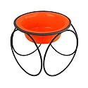 Platinum Pets Olympic Diner Feeder, Medium