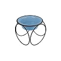 Platinum Pets Olympic Single Diner Stand with 1-Cup Wide Rimmed Bowl, Sky Blue