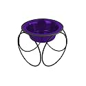 Platinum Pets Single Olympic Diner Feeder with Stainless Steel Dog/Cat Bowl, 1.25 Cup/10 oz, Electric Purple