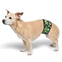 PlayaPup Male Dog Belly Band, Global Green, Small