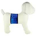 PlayaPup Male Dog Belly Band, SeaMonster Blue, Large