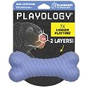 Playology Dual Layer Bone Dog Chew Toy - Jumbo, Blueberry Scent