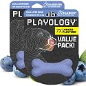 Playology Dual Layer Bone Dog Chew Toy -Small, Blueberry Scent, 2-Pk