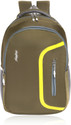 PLAYYBAGS Large 35 L Laptop Backpack Large 35 L Laptop Backpack 102 (Olive Green) (Green)
