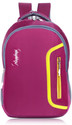 PLAYYBAGS Large 35 L Laptop Backpack Large 35 L Laptop Backpack 102 (Maroon) (Maroon)