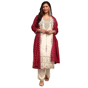 Plus Size Embroidered Organza Straight Kurta With