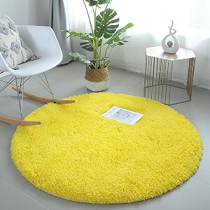 Plush Shag Area Rug for Living Room
