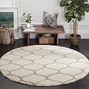 Plush Shag Area Rug for Living Room