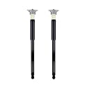 PM Auto Pair of 2 Rear Complete Shock Absorber Kit Compatible With 2018-2020 2022 Ford Ecosport L4