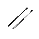 PM Auto Pair of 2 Rear Trunk Lid Lift Support For 2006-2016 Chevrolet Impala w/spoiler
