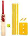 PMG Genius Cricket Bat with PVC Wicket